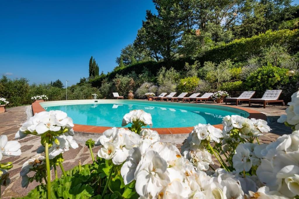 Casa Adriano Apartment Greve in Chianti Bagian luar foto